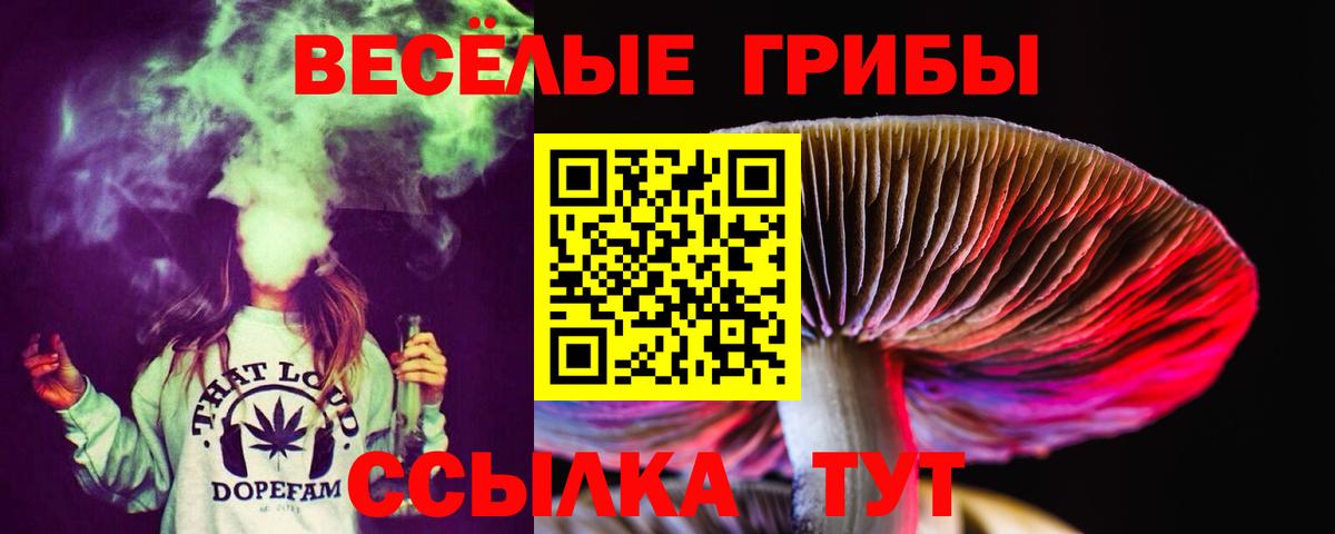 Галлюциногенные грибы мухоморы  Вход с VPN  где купить   Зеленодольск 